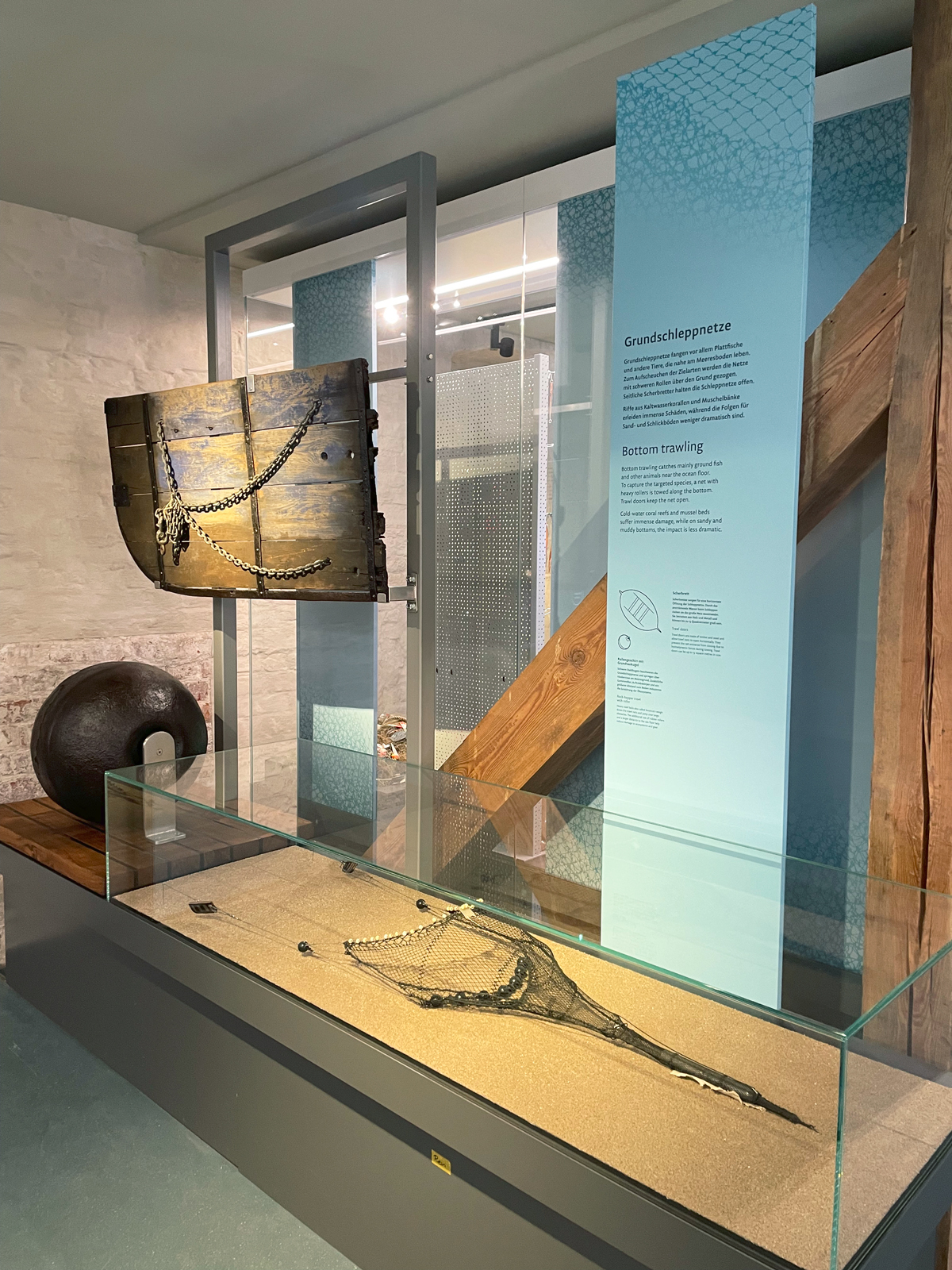 Meeresmuseum Stralsund Ausstellungsgestaltung E2 Meeresmuseum Stralsund Ausstellungsgestaltung E2