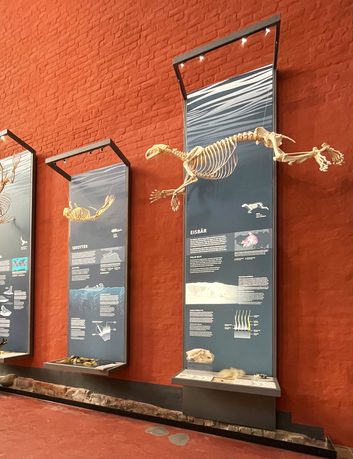 Meeresmuseum Stralsund Ausstellungsgestaltung E2 Meeresmuseum Stralsund Ausstellungsgestaltung E2