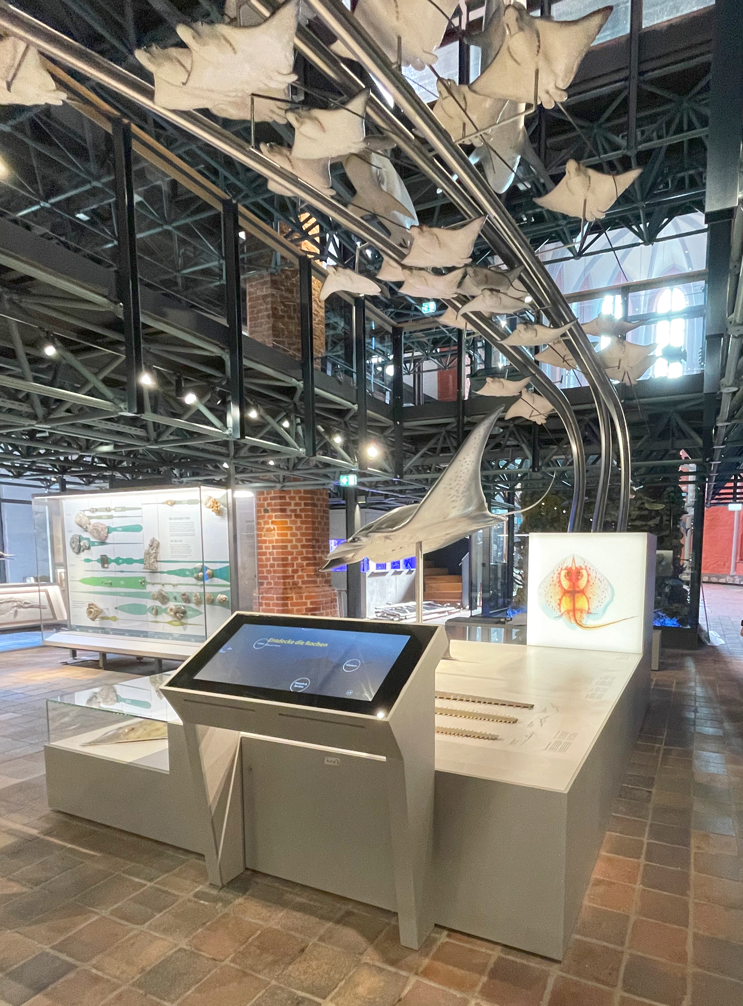 Meeresmuseum Stralsund Ausstellungsgestaltung E2 Meeresmuseum Stralsund Ausstellungsgestaltung E2